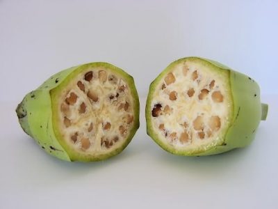 人類培育前，蔬果長什麼樣？