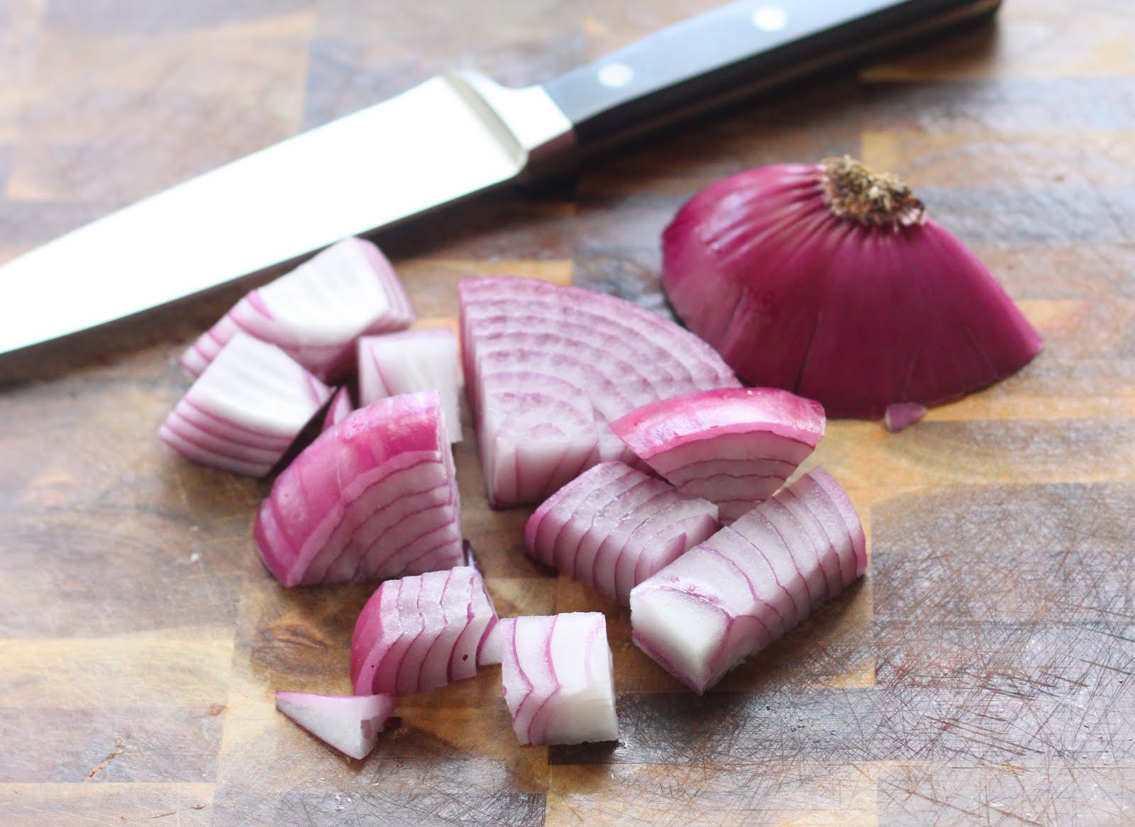 Cutting Red Onions for Dip_2