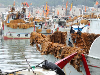 基隆，海洋進行式